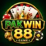 PAKWIN 88 Game