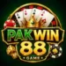 PAKWIN 88 Game